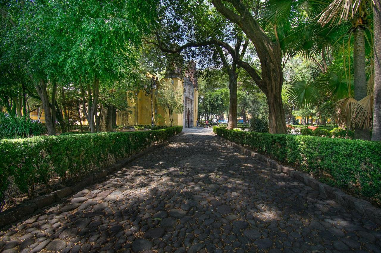 墨西哥城Fl 59 Coyoacan At Your Doorstep!公寓 外观 照片