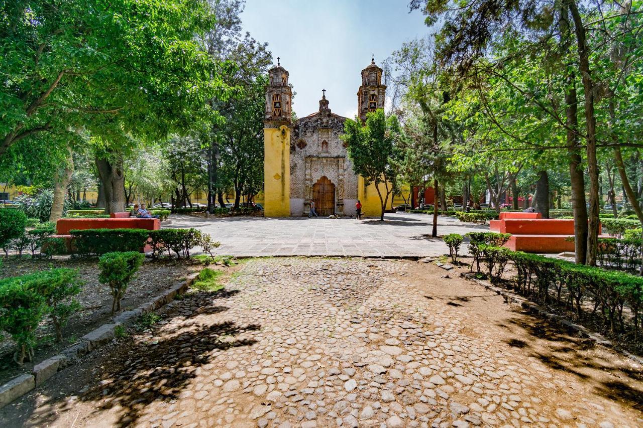 墨西哥城Fl 59 Coyoacan At Your Doorstep!公寓 外观 照片