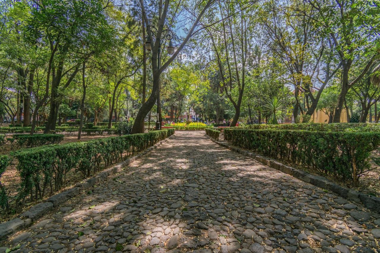 墨西哥城Fl 59 Coyoacan At Your Doorstep!公寓 外观 照片